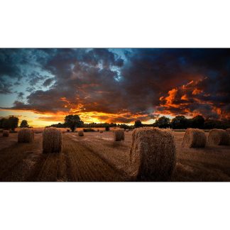 Samsung LH55VMBUBGBXGO signage display Digital signage flat panel 139,7 cm (55") IPS 500 cd/m² Full HD Black